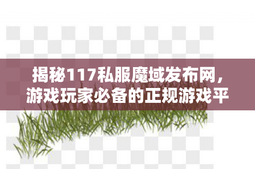 揭秘117私服魔域发布网，游戏玩家必备的正规游戏平台魔域sf发布站