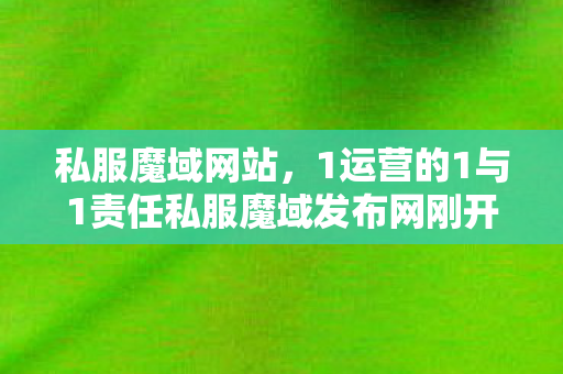 私服魔域网站，1运营的1与1责任私服魔域发布网刚开一秒
