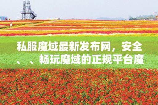 私服魔域最新发布网，安全、 、畅玩魔域的正规平台魔域私服发布网刚刚开一秒