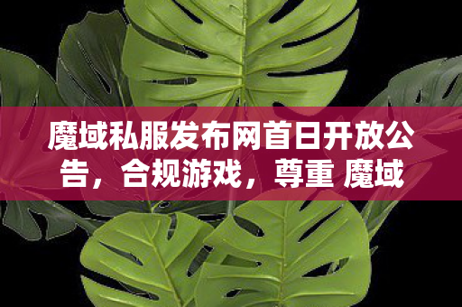 魔域私服发布网首日开放公告，合规游戏，尊重 魔域sf网站