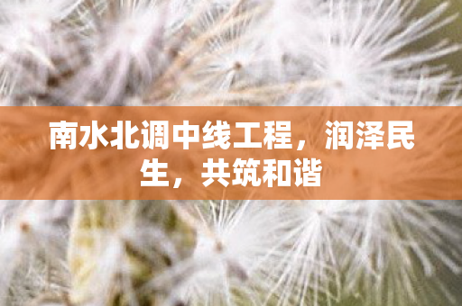 南水北调中线工程，润泽民生，共筑和谐