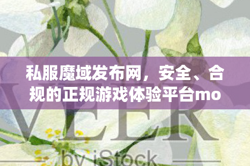 私服魔域发布网，安全、合规的正规游戏体验平台moyu私服