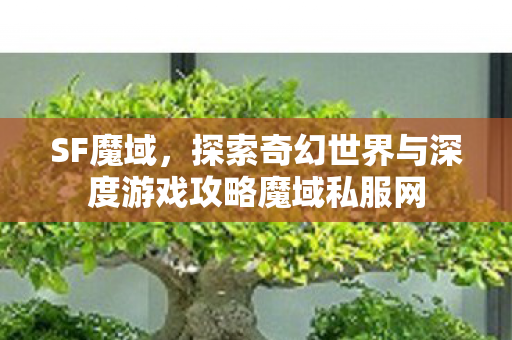 SF魔域，探索奇幻世界与深度游戏攻略魔域私服网