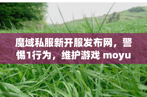 魔域私服新开服发布网，警惕1行为，维护游戏 moyu私服发布网