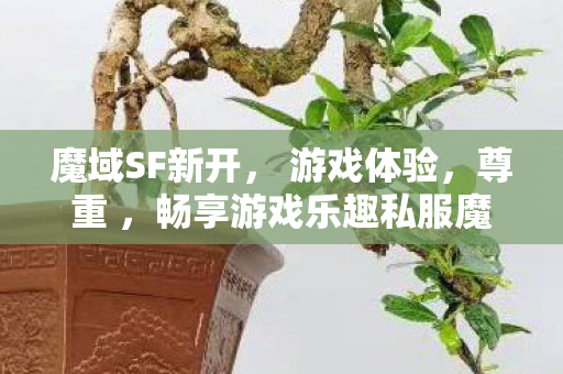 魔域SF新开， 游戏体验，尊重 ，畅享游戏乐趣私服魔域