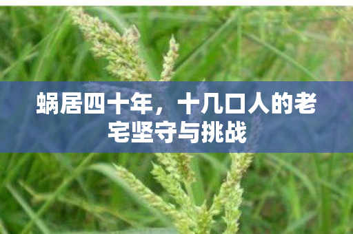 蜗居四十年，十几口人的老宅坚守与挑战