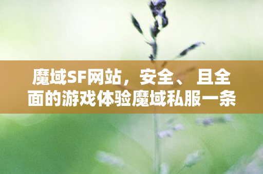 魔域SF网站，安全、 且全面的游戏体验魔域私服一条龙