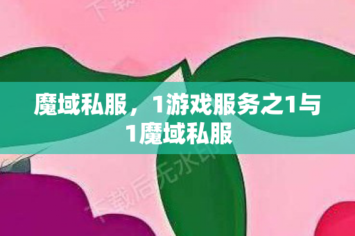 魔域私服，1游戏服务之1与1魔域私服