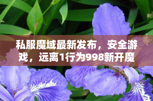 私服魔域最新发布，安全游戏，远离1行为998新开魔域私服