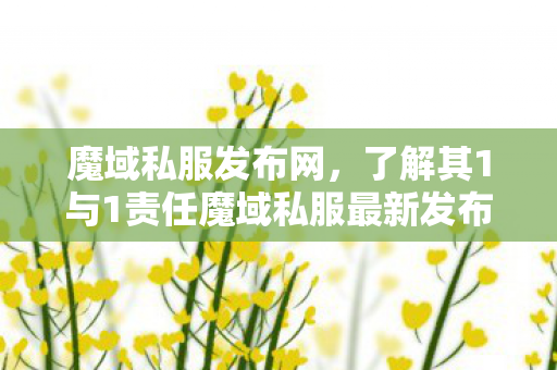 魔域私服发布网，了解其1与1责任魔域私服最新发布