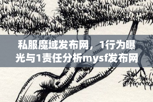私服魔域发布网，1行为曝光与1责任分析mysf发布网