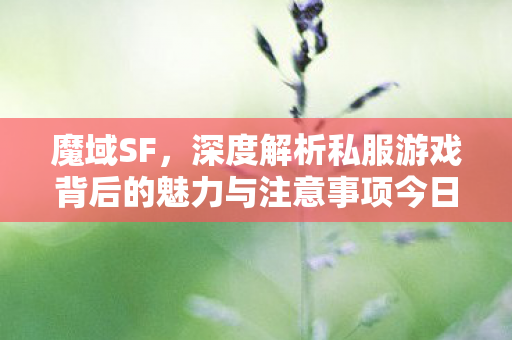 魔域SF，深度解析私服游戏背后的魅力与注意事项今日新开魔域私服网站