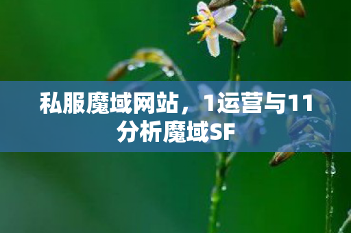 私服魔域网站，1运营与11分析魔域SF
