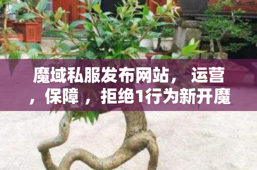 魔域私服发布网站， 运营，保障 ，拒绝1行为新开魔域sf