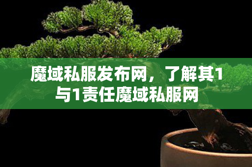 魔域私服发布网，了解其1与1责任魔域私服网