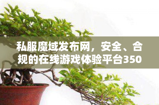 私服魔域发布网，安全、合规的在线游戏体验平台350001魔域辅助