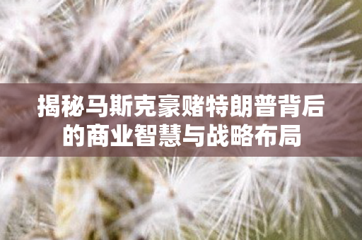 揭秘马斯克豪赌特朗普背后的商业智慧与战略布局
