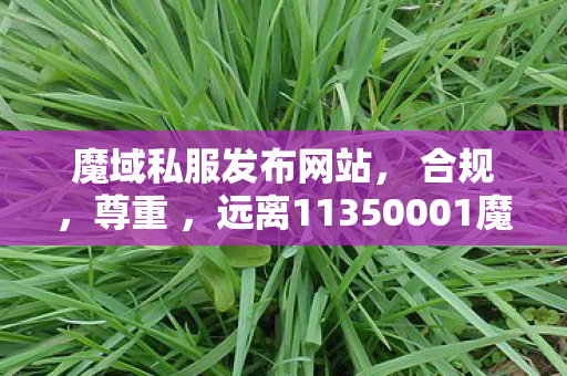 魔域私服发布网站， 合规，尊重 ，远离11350001魔域新感觉