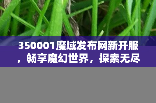 350001魔域发布网新开服，畅享魔幻世界，探索无尽冒险魔域新开变态私服