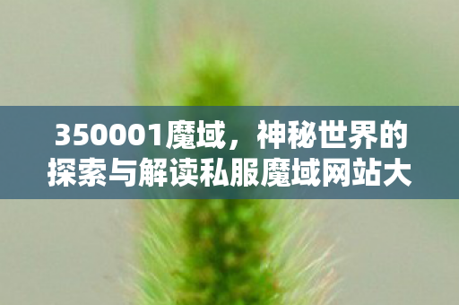 350001魔域，神秘世界的探索与解读私服魔域网站大全