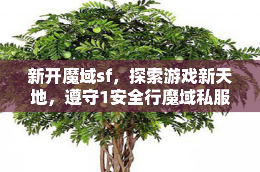 新开魔域sf，探索游戏新天地，遵守1安全行魔域私服最新