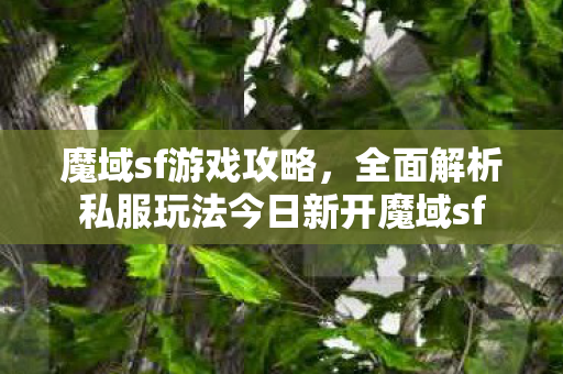 魔域sf游戏攻略，全面解析私服玩法今日新开魔域sf