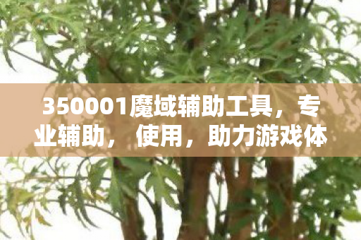 350001魔域辅助工具，专业辅助， 使用，助力游戏体验魔狱私服