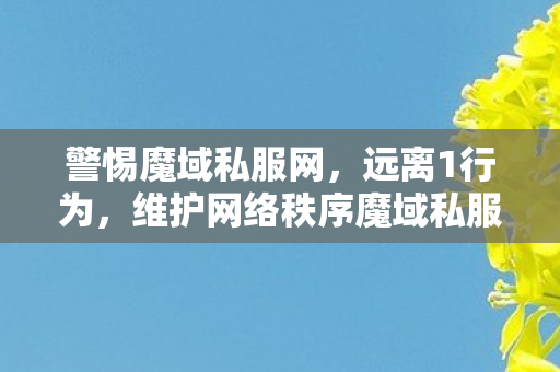 警惕魔域私服网，远离1行为，维护网络秩序魔域私服发布网站