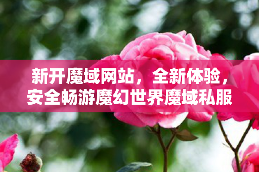 新开魔域网站，全新体验，安全畅游魔幻世界魔域私服发布网刚刚开一秒