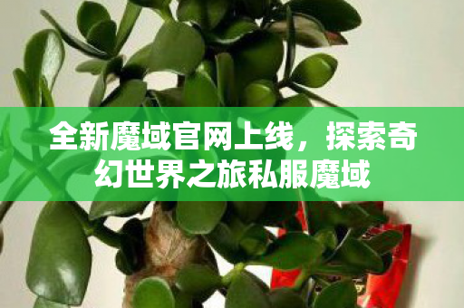 全新魔域官网上线，探索奇幻世界之旅私服魔域