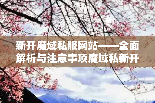 新开魔域私服网站——全面解析与注意事项魔域私新开服发布网魔域私服