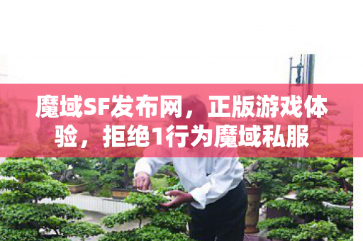 魔域SF发布网，正版游戏体验，拒绝1行为魔域私服