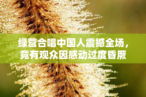 绿营合唱中国人震撼全场，竟有观众因感动过度昏厥