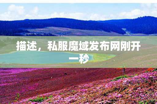 描述，私服魔域发布网刚开一秒