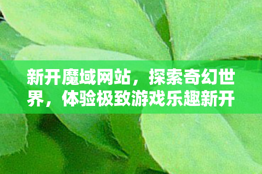 新开魔域网站，探索奇幻世界，体验极致游戏乐趣新开魔域公益服发布网