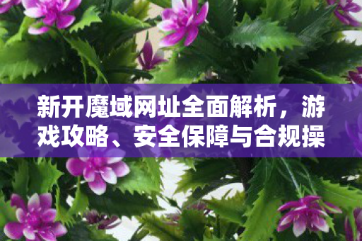 新开魔域网址全面解析，游戏攻略、安全保障与合规操作指南私服魔域刚开一秒