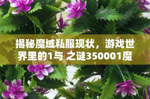 揭秘魔域私服现状，游戏世界里的1与 之谜350001魔域发布网新开服