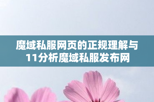 魔域私服网页的正规理解与11分析魔域私服发布网