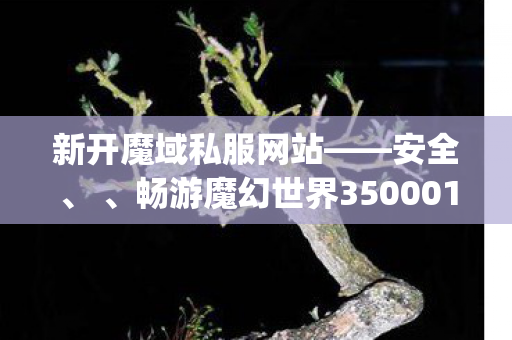 新开魔域私服网站——安全、 、畅游魔幻世界350001my魔域发布网新开服