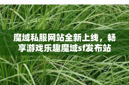 魔域私服网站全新上线，畅享游戏乐趣魔域sf发布站