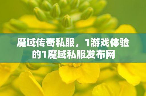 魔域传奇私服，1游戏体验的1魔域私服发布网