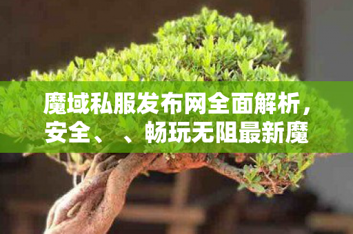 魔域私服发布网全面解析，安全、 、畅玩无阻最新魔域私服