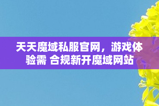 天天魔域私服官网，游戏体验需 合规新开魔域网站