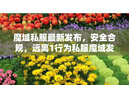 魔域私服最新发布，安全合规，远离1行为私服魔域发布网刚开一秒