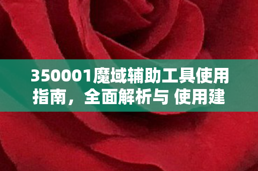 350001魔域辅助工具使用指南，全面解析与 使用建议私服魔域
