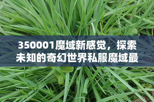 350001魔域新感觉，探索未知的奇幻世界私服魔域最新发布网