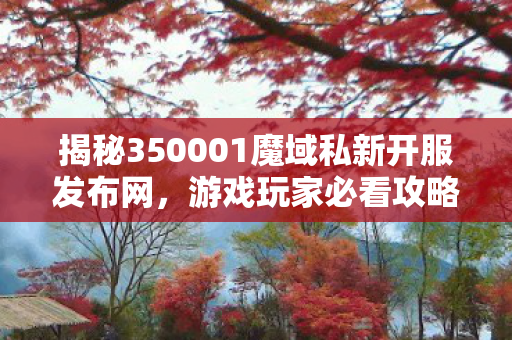 揭秘350001魔域私新开服发布网，游戏玩家必看攻略与指南变态私服魔域