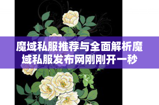 魔域私服推荐与全面解析魔域私服发布网刚刚开一秒