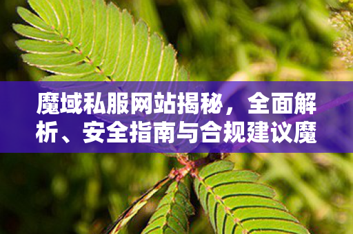 魔域私服网站揭秘，全面解析、安全指南与合规建议魔域私服