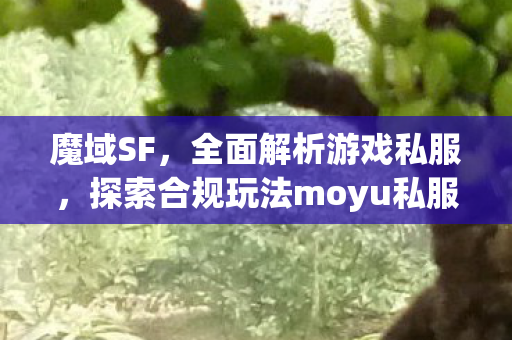 魔域SF，全面解析游戏私服，探索合规玩法moyu私服发布网